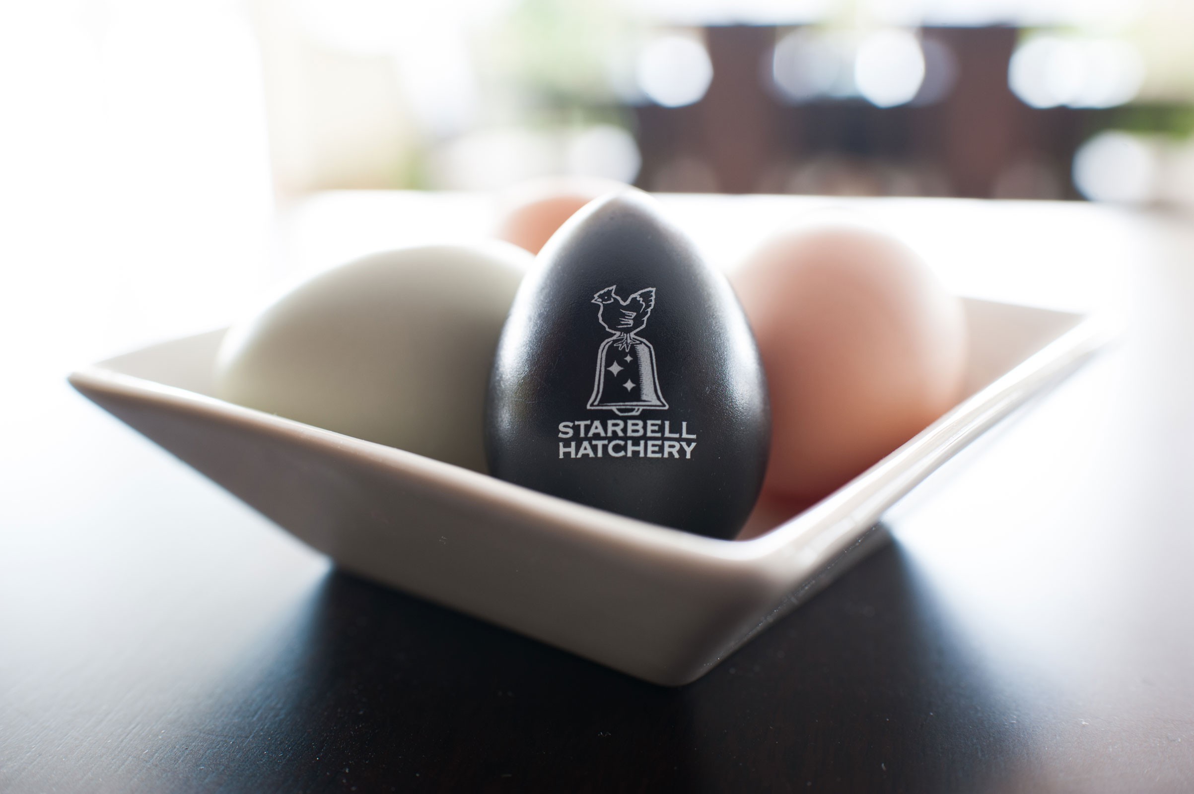 Branding-Photography-Editorial-Style-Egg-Shaker-in-Egg-Bowl